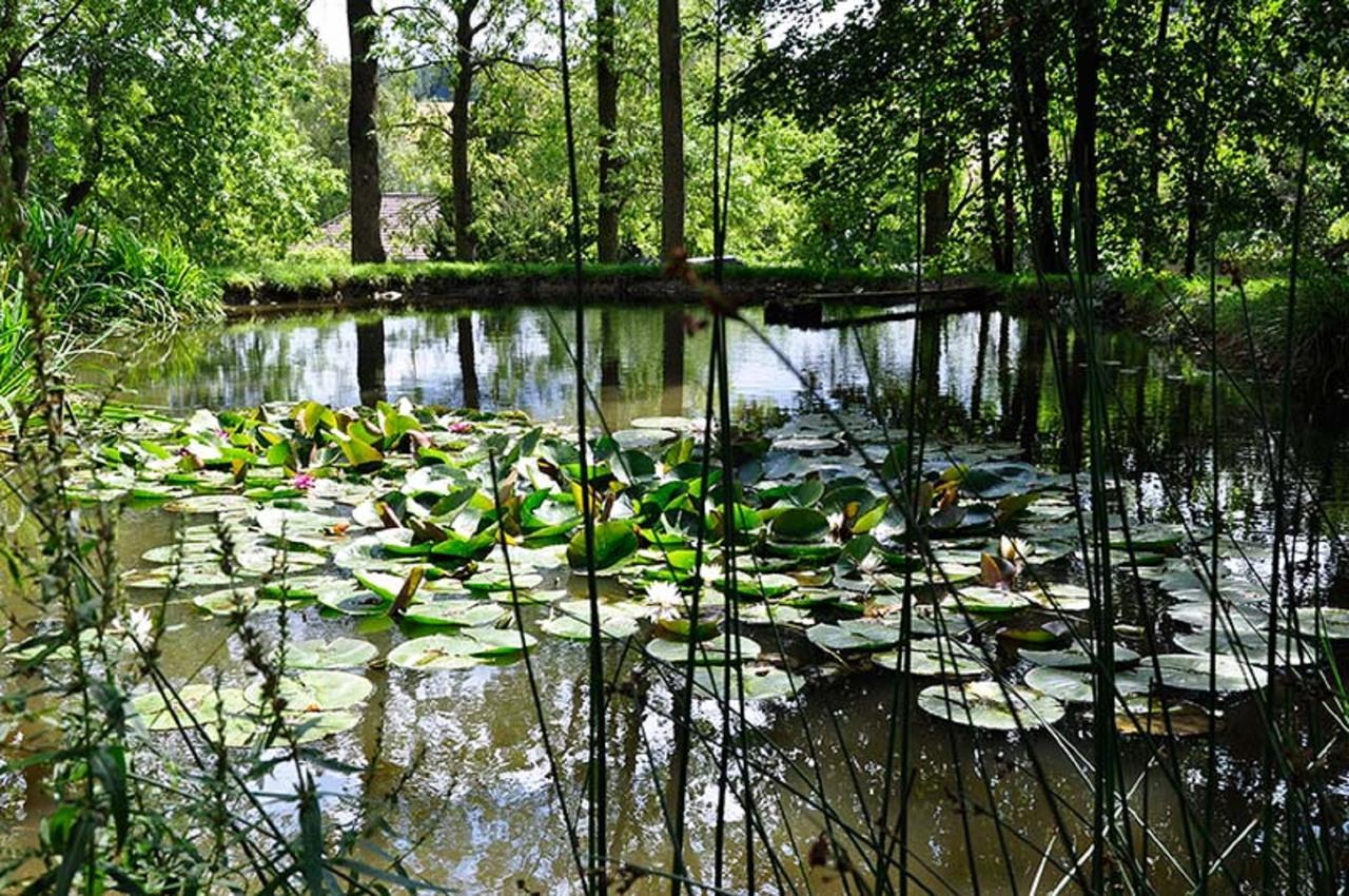 Landhausgarten Bunzmann Berg  Exterior foto